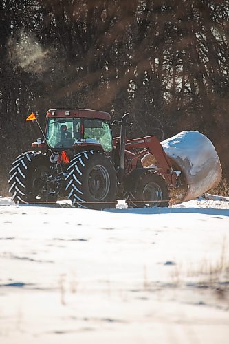 A tractor moves a hay bale off of Highway 10 on Wednesday, Jan. 19. (Chelsea Kemp/The Brandon Sun)