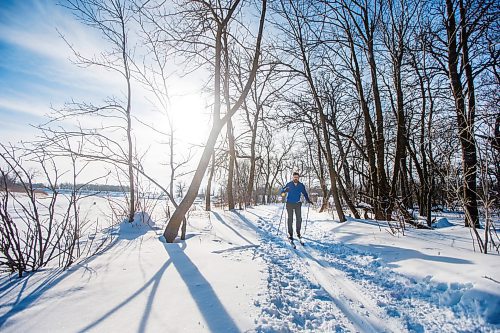 MIKAELA MACKENZIE / WINNIPEG FREE PRESS

Daryl Klassen enjoys the warm weather while cross-country skiing at Beaudry Provincial Park just outside of Winnipeg on Monday, Feb. 7, 2022. Entry to provincial parks is free all of February. Standup.
Winnipeg Free Press 2022.