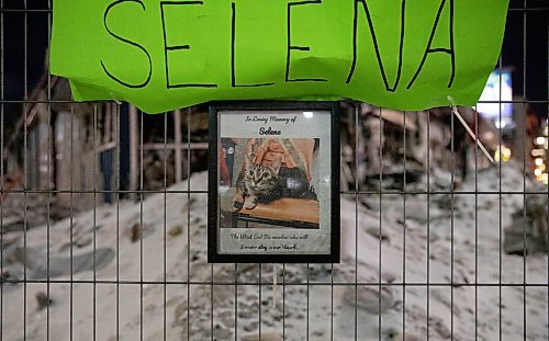 JESSICA LEE / WINNIPEG FREE PRESS

A memorial for Selena the cat is photographed on February 9, 2022. The office which Selena lived in recently burned down on February 2, 2022. The building is covered with ice from the water the firefighters used to put out the flames.

Reporter: Ben







