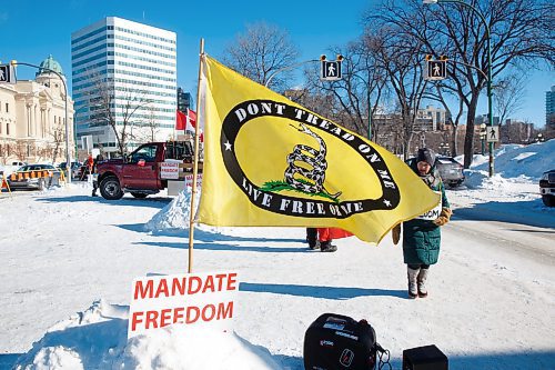 MIKE DEAL / WINNIPEG FREE PRESS
A version of the Gadsden flag flies from a snowbank amongst the protestors Friday morning in front of the Manitoba Legislative building. 
220211 - Friday, February 11, 2022.
