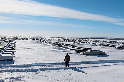 A wider look at Lothar Weber's &quot;field of dreams&quot; on Wednesday morning, just outside his residence located between the communities of Doulgas and CFB Shilo. Weber told the Sun that his car collection currently amounts to around 600 vehicles. (Kyle Darbyson/The Brandon Sun)