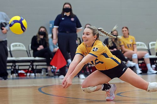 17022022
Nicole Ashauer of the Brandon University Bobcats digs the ball during university women's volleyball action against the University of Winnipeg Wesmen at the BU Healthy Living Centre on Thursday evening.  (Tim Smith/The Brandon Sun)