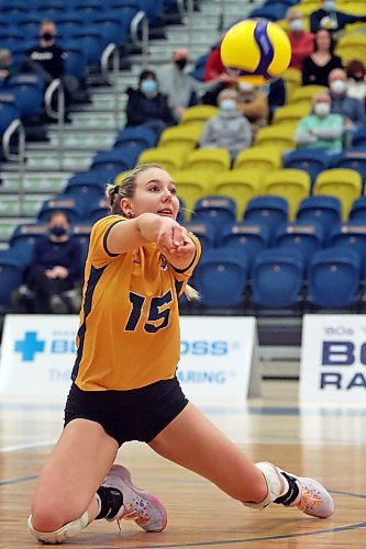 17022022
Nicole Ashauer of the Brandon University Bobcats digs the ball during university women's volleyball action against the University of Winnipeg Wesmen at the BU Healthy Living Centre on Thursday evening.  (Tim Smith/The Brandon Sun)