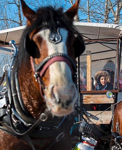 Visitors go for a sleigh ride during Winter Fest at the Sportsplex Saturday. (Chelsea Kemp/The Brandon Sun)