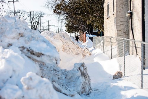 MIKAELA MACKENZIE / WINNIPEG FREE PRESS

Pedestrians struggle to navigate the almost non-existent sidewalk, which has been taken over by snowbanks, on Saint Matthews Avenue in Winnipeg on Tuesday, Feb. 22, 2022. For Malak story.
Winnipeg Free Press 2022.