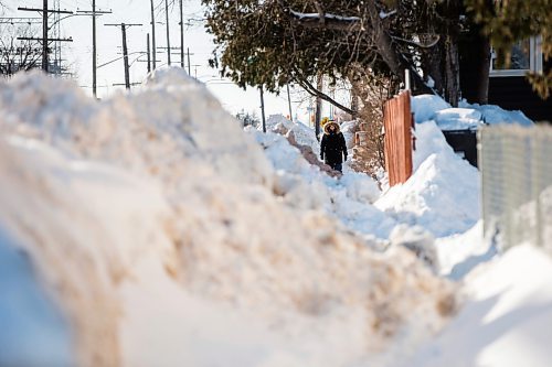 MIKAELA MACKENZIE / WINNIPEG FREE PRESS

Pedestrians struggle to navigate the almost non-existent sidewalk, which has been taken over by snowbanks, on Saint Matthews Avenue in Winnipeg on Tuesday, Feb. 22, 2022. For Malak story.
Winnipeg Free Press 2022.