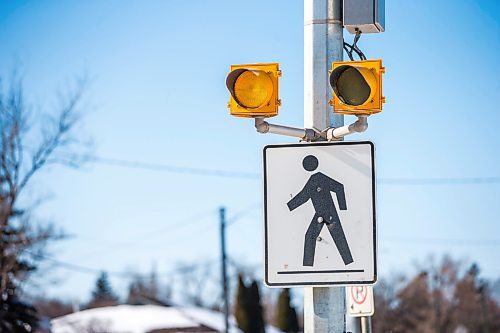 MIKAELA MACKENZIE / WINNIPEG FREE PRESS

Eye-level lights at the pedestrian crossing at Roblin Boulevard and Hunterspoint Road, where a boy was seriously injured in 2018, in Winnipeg on Wednesday, Feb. 23, 2022. For Ryan story.
Winnipeg Free Press 2022.