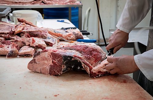 JESSICA LEE / WINNIPEG FREE PRESS

A worker processes beef at Frig&#x2019;s Natural Meats on February 22, 2022.

Reporter: Dave
