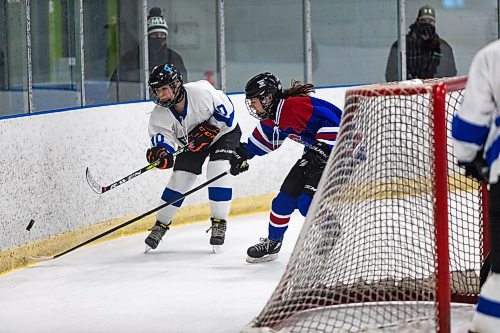 Daniel Crump / Winnipeg Free Press. Oak Park&#x573; Meaghan Krawat (10) rings the puck around the boards as the Oak Park Raiders play the Churchill Bulldogs at the Southdale Community Centre in girls high school hockey action Thursday afternoon. February 24, 2022.