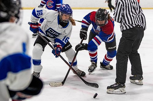 Daniel Crump / Winnipeg Free Press. Oak Park&#x573; Kaitlyn Hulme (16)  battles for the puck against a Churchill player during a face-off. the Oak Park Raiders play the Churchill Bulldogs at the Southdale Community Centre in girls high school hockey action Thursday afternoon. February 24, 2022.