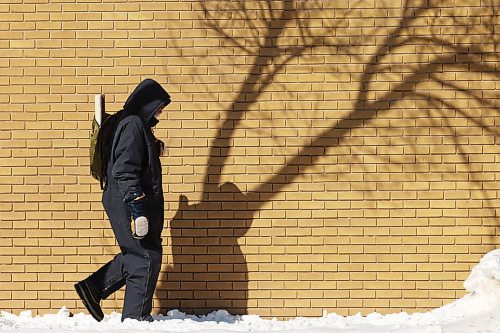 11032022
A pedestrian walks through a tree's shadow on a brick building in downtown Brandon on a sunny and unseasonably cold Friday. (Tim Smith/The Brandon Sun)