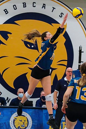 Brandon University Bobcats Keely Anderson takes on the University of Regina Cougars in a Canada West women&#x573; volleyball game at the Healthy Living Centre Saturday. (Chelsea Kemp/The Brandon Sun)