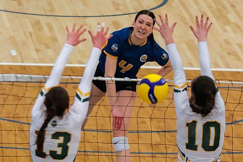 Brandon University Bobcats Rayvn Wiebe takes on the University of Regina Cougars Jessica Lerminiaux, left, and Claire Sheppard in a Canada West women&#x573; volleyball game at the Healthy Living Centre Saturday. (Chelsea Kemp/The Brandon Sun)