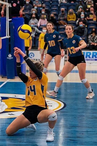 Brandon University Bobcats Brianne Stott takes on the University of Regina Cougars in a Canada West women&#x573; volleyball game at the Healthy Living Centre Saturday. (Chelsea Kemp/The Brandon Sun)