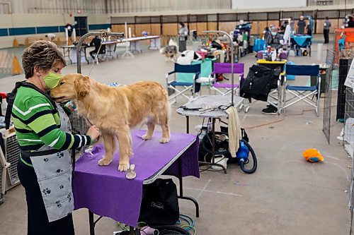 Albertan Lori-Ann Fischer grooms Mary-Ann at the Crocus Obedience and Kennel Club Dog Show at the Keystone Centre Saturday. (Chelsea Kemp/The Brandon Sun)