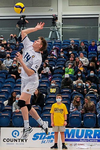 Brandon University Bobcats Tom Friesen takes on the University of Manitoba Bisons in a Canada West men&#x573; volleyball game at the Healthy Living Centre Saturday. (Chelsea Kemp/The Brandon Sun)