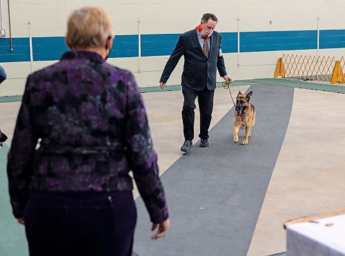 Canadian Kennel Club judge Corrine Walker judges the German Shepherd groups at the Crocus Obedience and Kennel Club Dog Show at the Keystone Centre Saturday. (Chelsea Kemp/The Brandon Sun)