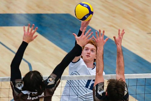 Brandon University Bobcats Rylan Metcalf takes on the University of Manitoba Bisons in a Canada West men&#x573; volleyball game at the Healthy Living Centre Saturday. (Chelsea Kemp/The Brandon Sun)