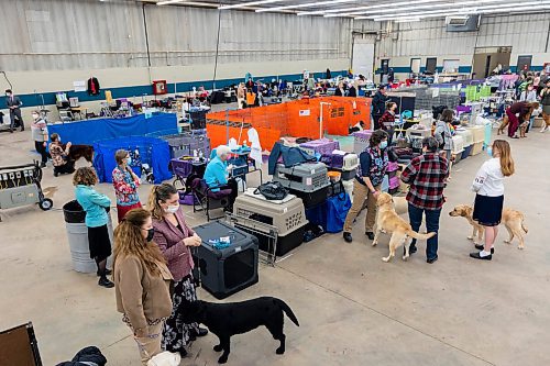 Competitors line the floor at the Crocus Obedience and Kennel Club Dog Show at the Keystone Centre Saturday. (Chelsea Kemp/The Brandon Sun)