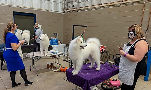 Handlers and their dogs prepare for the Crocus Obedience and Kennel Club Dog Show at the Keystone Centre Saturday. (Chelsea Kemp/The Brandon Sun)