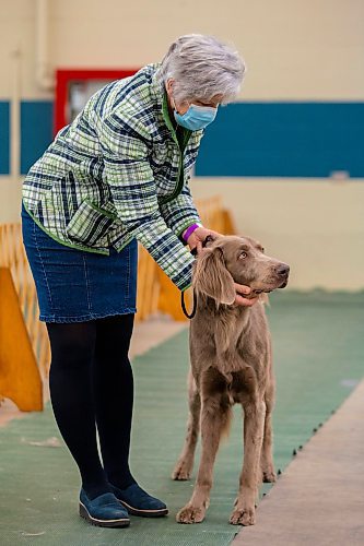 Brandonite Ngaire Abernethy and her dog Tai compete in the Crocus Obedience and Kennel Club Dog Show at the Keystone Centre Saturday. (Chelsea Kemp/The Brandon Sun)