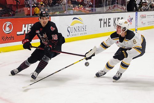 Brandon Wheat King Quinn Mantei battles Moose Jaw Warrior Daemon Hunt for the puck in a Western Hockey League game Tuesday at Westoba Place. (Chelsea Kemp/The Brandon Sun)