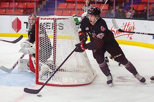 Moose Jaw Warrior Cole Jordan takes on the Brandon Wheat Kings in a Western Hockey League game Tuesday at Westoba Place. (Chelsea Kemp/The Brandon Sun)