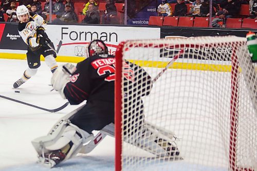 Brandon Wheat King Ridly Greig takes a shot on Moose Jaw Warriors goalie Carl Tetachuk in a Western Hockey League game Tuesday at Westoba Place. (Chelsea Kemp/The Brandon Sun)