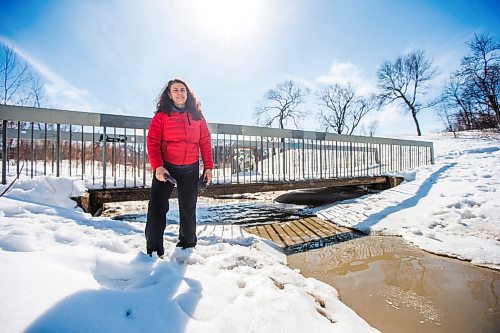 MIKAELA MACKENZIE / WINNIPEG FREE PRESS

Marianne Cerilli, past chairwoman of the Wolseley Residents Association, poses for a portrait beside Omand's Creek (where raw sewage was spilled after snowmelt overwhelmed construction being done to replace a combined sewer interceptor pipe) in Winnipeg on Friday, March 18, 2022.  For Kevin story.
Winnipeg Free Press 2022.