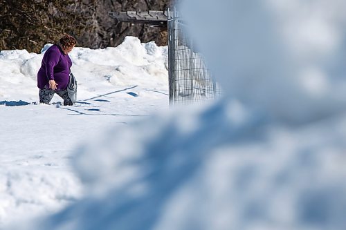 Daniel Crump / Winnipeg Free Press. A woman sinks past her knees in snow while walking at the Forks, Saturday afternoon. The sun is shining and the mercury is above zero, but there is still plenty of snow on the ground. March 19, 2022.