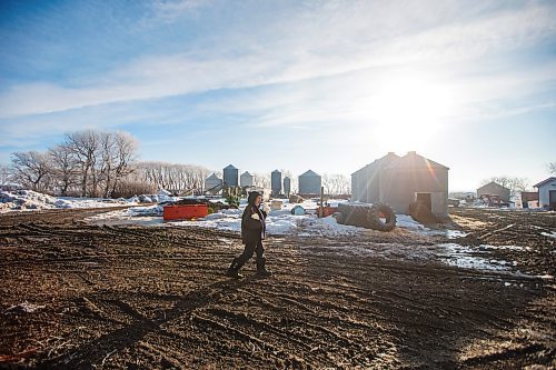 MIKAELA MACKENZIE / WINNIPEG FREE PRESS

Linda Frig walks out with an armful of milk to feed the bottle-fed lambs at their farm near Petersfield on Thursday, March 24, 2022.  Standup.
Winnipeg Free Press 2022.