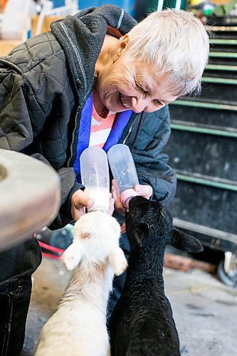 MIKAELA MACKENZIE / WINNIPEG FREE PRESS

Linda Frig feeds the bottle-fed lambs at their farm near Petersfield on Thursday, March 24, 2022.  Standup.
Winnipeg Free Press 2022.