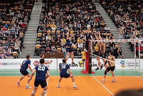 JESSICA LEE / WINNIPEG FREE PRESS

University of Manitoba Bisons men&#x2019;s volleyball team (wearing brown) played against Trinity Western University on March 25, 2022 at the IG Athletic Centre.

Reporter: Mike S.


