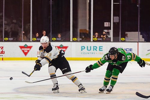 Brandon Wheat King Chad Nychuk races Prince Albert Raider Evan Herman for the puck in a Western Hockey League game Friday at Westoba Place. (Chelsea Kemp/The Brandon Sun)