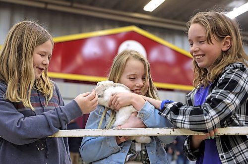 Summer holds a bunny while Priscilla, left, and MacKenzie reach over to pet the soft white fur during the opening day of the Royal Manitoba Winter Fair on Monday morning. No last names or ages were given. (Matt Goerzen/The Brandon Sun)