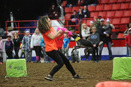 Woofjock dog Qwik works with trainer Jordan Jarvis during the afternoon show of the Royal Manitoba Winter Fair on Monday. (Matt Goerzen/The Brandon Sun)