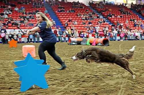 29032022
Members of the WoofJocks Canine All Stars perform in Westoba Place during the Royal Manitoba Winter Fair on Tuesday.
(Tim Smith/The Brandon Sun)