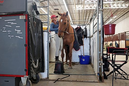 29032022
Sarah Wilson with Ovation W Equestrian puts braids in her Canadian Warmblood horse, Mardi Gras, in preparation for competing in Hunter classes during the Royal Manitoba Winter Fair on Tuesday.
(Tim Smith/The Brandon Sun)