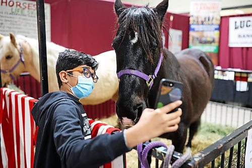 29032022
Siddharth Tatineni takes selfies with a horse at Lucky Break Equine during the Royal Manitoba Winter Fair on Tuesday.
(Tim Smith/The Brandon Sun)