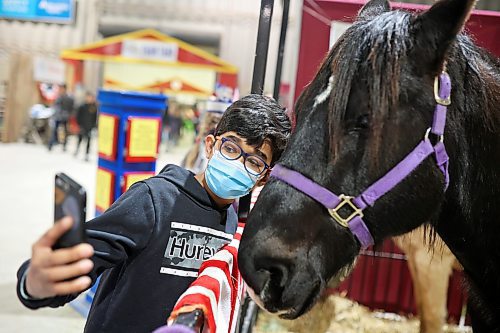 29032022
Siddharth Tatineni takes selfies with a horse at Lucky Break Equine during the Royal Manitoba Winter Fair on Tuesday.
(Tim Smith/The Brandon Sun)