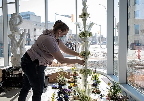 JESSICA LEE / WINNIPEG FREE PRESS

Zoe Stewart adjusts flowers on display at Winnipeg Art Gallery on March 31, 2022, in preparation for the Art in Bloom event which takes place Saturday.