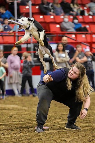 Emily Lowes and Shuffle show off their frisbee skills at the Royal Manitoba Winter Fair Thursday at Westoba Place. (Chelsea Kemp/The Brandon Sun)