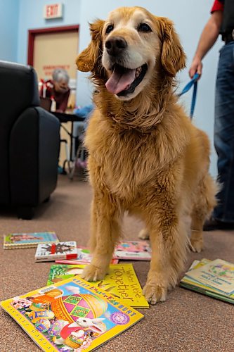 Earl Martin and his trained therapy dog Jessie visit the Brandon and District Chapter Learning Disabilities Association of Manitoba (LDAM) Spring Reading Program for Children at the Brandon Public Library on Saturday, March 26. (Chelsea Kemp/The Brandon Sun)