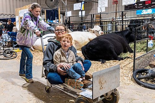 Kate Hinsburg, 11, pushes Kendra Hinsburg, 12, and Aysen Avey, 6, around the Keystone Centre Friday. (Chelsea Kemp/The Brandon Sun)