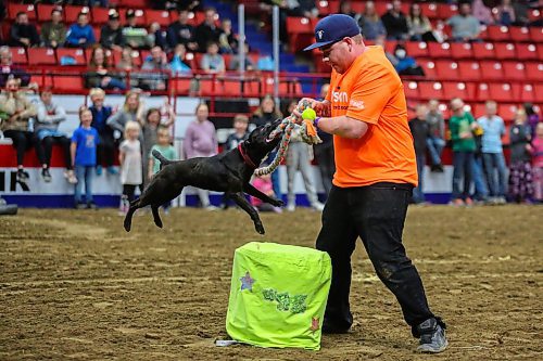 Able and their handler Brett Fry compete in a WolfJocks Canine All Stars barrel race at the Royal Manitoba Winter Fair Thursday at Westoba Place. (Chelsea Kemp/The Brandon Sun)