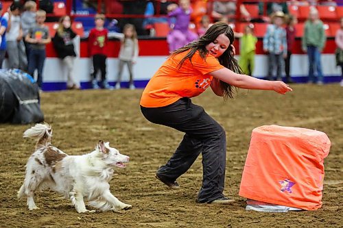 Clover and their handler Ella Usher-Jones compete in a WolfJocks Canine All Stars barrel race at the Royal Manitoba Winter Fair Thursday at Westoba Place. (Chelsea Kemp/The Brandon Sun)