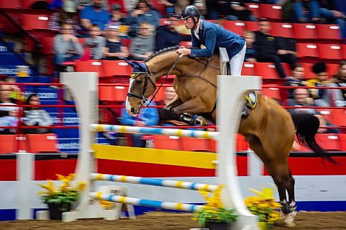 Piet Van Genugten and Adequan JVH Zcompete for the ATCO Cup at the Royal Manitoba Winter Fair Thursday at Westoba Place. (Chelsea Kemp/The Brandon Sun)