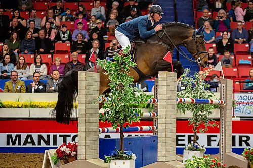 Piet Van Genugten and Adequan JVH Zcompete for the ATCO Cup at the Royal Manitoba Winter Fair Thursday at Westoba Place. (Chelsea Kemp/The Brandon Sun)