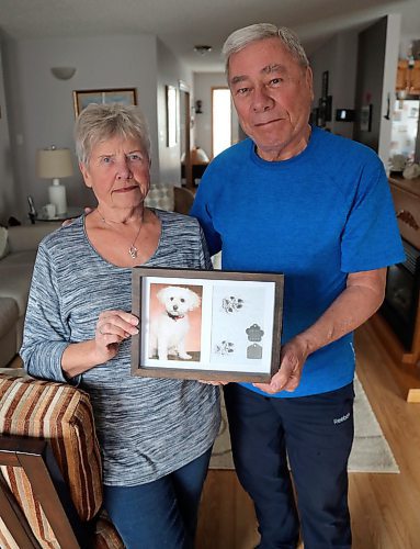 JASON HALSTEAD / WINNIPEG FREE PRESS

Ken and Mary Butchart show off a photo and the dog tag's of their deceased pet Holly in their home on April 7, 2022. Bichon Fris&#xe9;-cockapoo mix was badly mauled in 2018 by a dog they believe to have been a pitfull.
Re: Malak Abas story