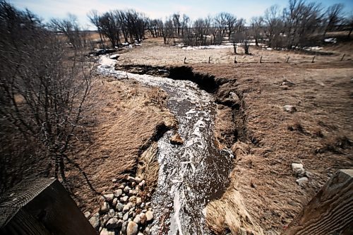 Spring meltwater flows swiftly through a creek and under a municipal bridge south of the Trans-Canada Highway near CFB Shilo on Friday afternoon. (Matt Goerzen/The Brandon Sun)